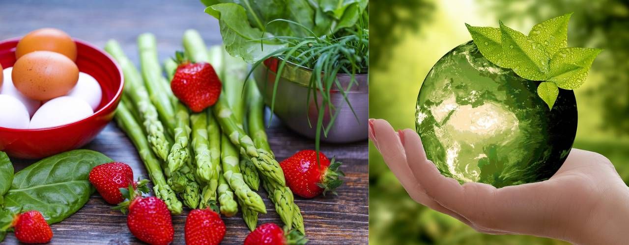 alimentazione sostenibile